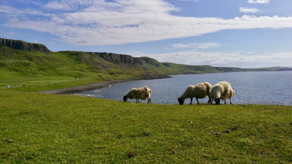 Wyspa Skye, foto: M. Błażejczak
