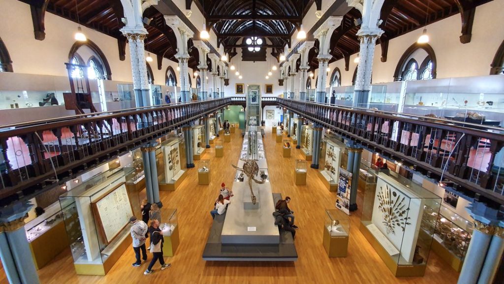 Hunterian Museum, Glasgow. Foto: M. Błażejczak