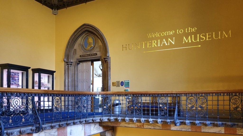 Hunterian Museum, Glasgow. Foto: M. Błażejczak